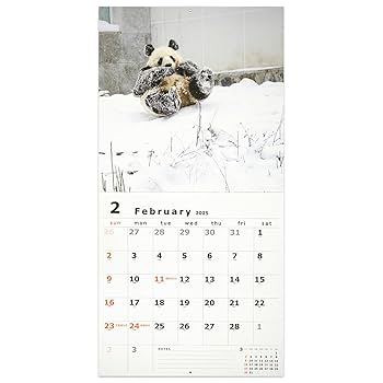 パンダページ Amazon.co.jp: グリーティングライフ 2025年 カレンダー パンダ